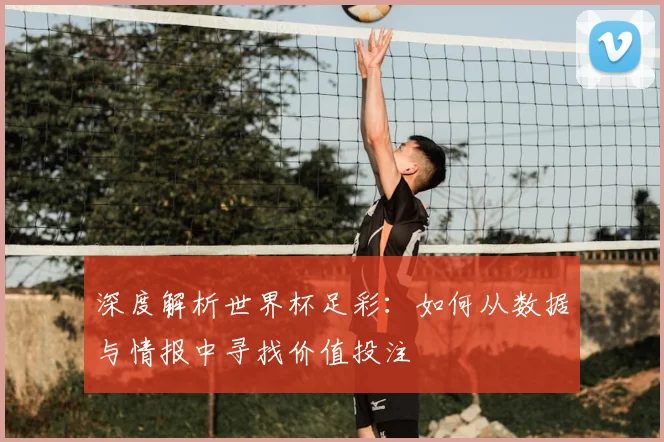 深度解析世界杯足彩：如何从数据与情报中寻找价值投注