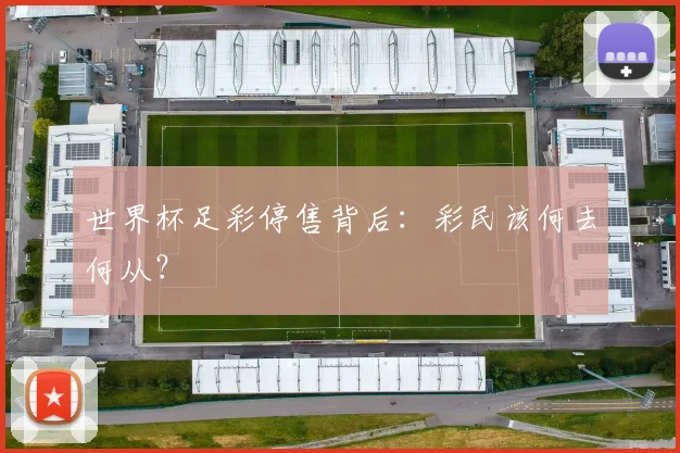 世界杯足彩停售背后：彩民该何去何从？