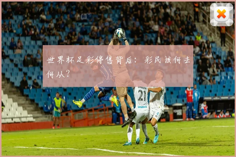 世界杯足彩停售背后：彩民该何去何从？