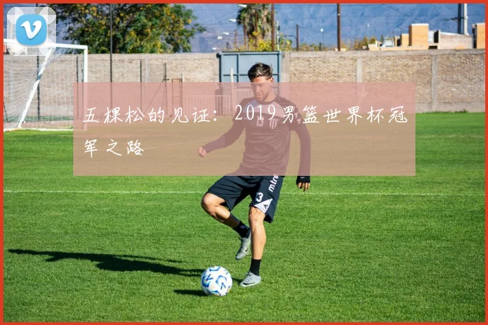 五棵松的见证:2019男篮世界杯冠军之路