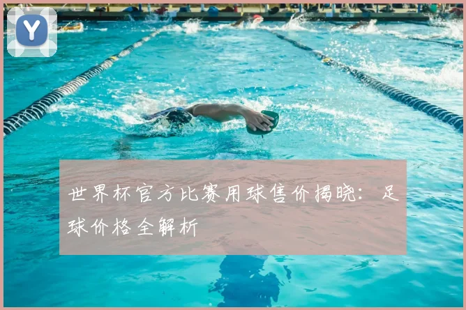 世界杯官方比赛用球售价揭晓:足球价格全解析