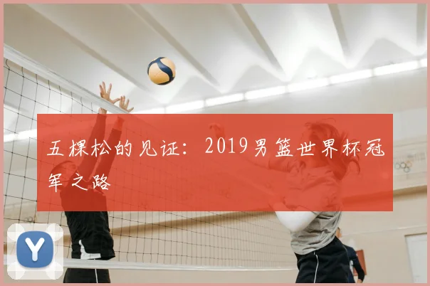 五棵松的见证：2019男篮世界杯冠军之路